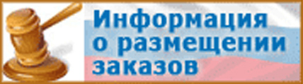 Официальный сайт РФ размещения информации о размещении заказов.jpg